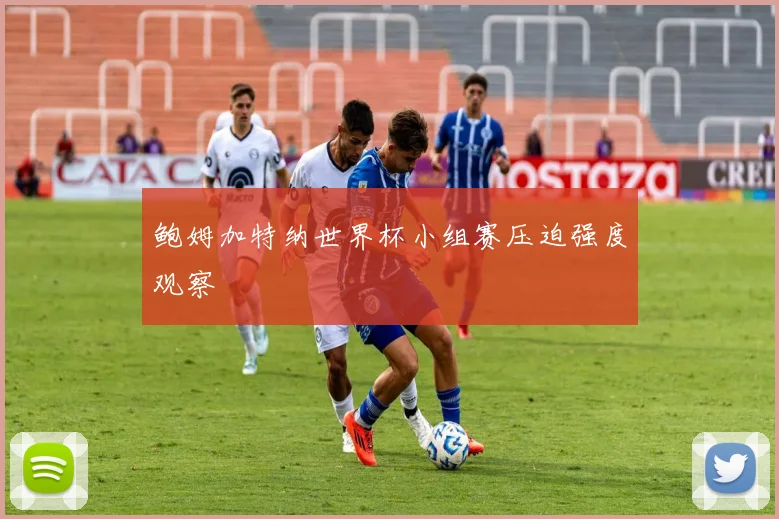 鲍姆加特纳世界杯小组赛压迫强度观察
