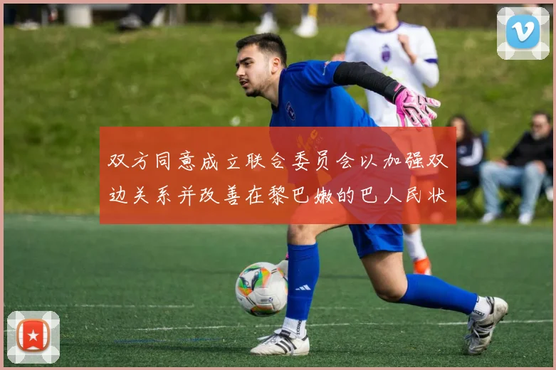 双方同意成立联合委员会以加强双边关系并改善在黎巴嫩的巴人民状况 - 开云体育app登录入口