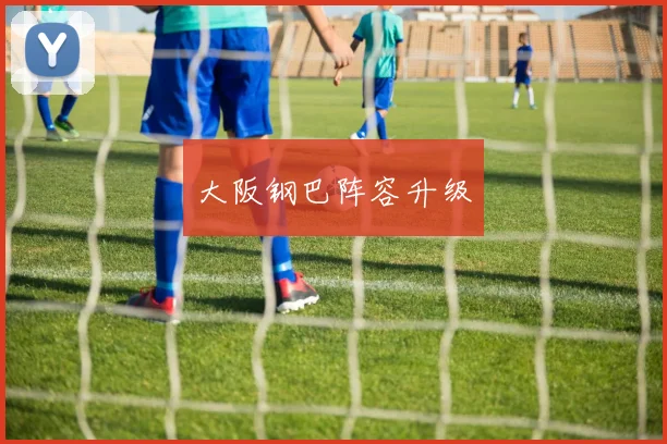 大阪钢巴阵容升级 - 开云体育app登录入口