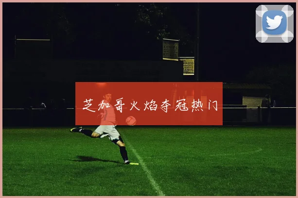 芝加哥火焰夺冠热门