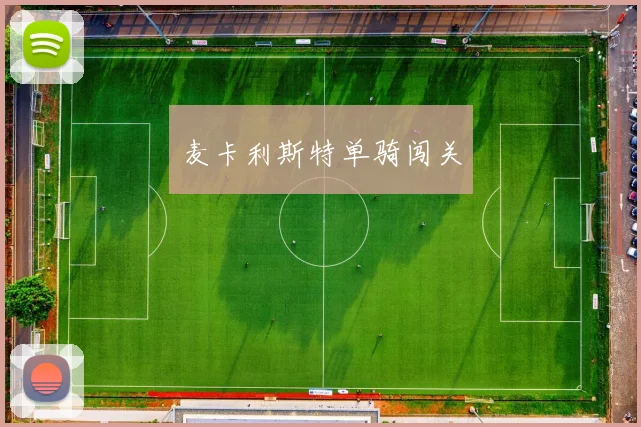 麦卡利斯特单骑闯关 - 开云体育app登录入口