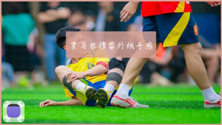 贾马尔穆雷外线手感