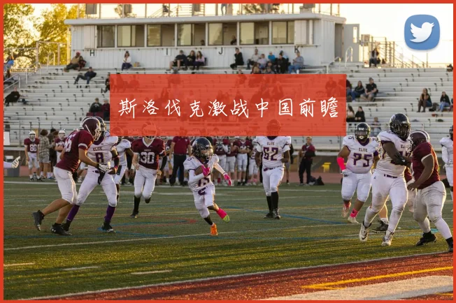 斯洛伐克激战中国前瞻 - 开云体育app登录入口