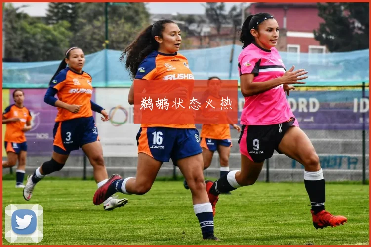 鹈鹕状态火热
