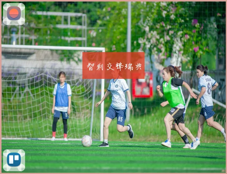 智利交锋瑞典