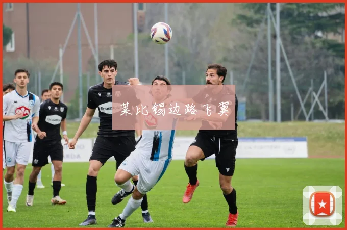 莱比锡边路飞翼 - 开云体育app登录入口