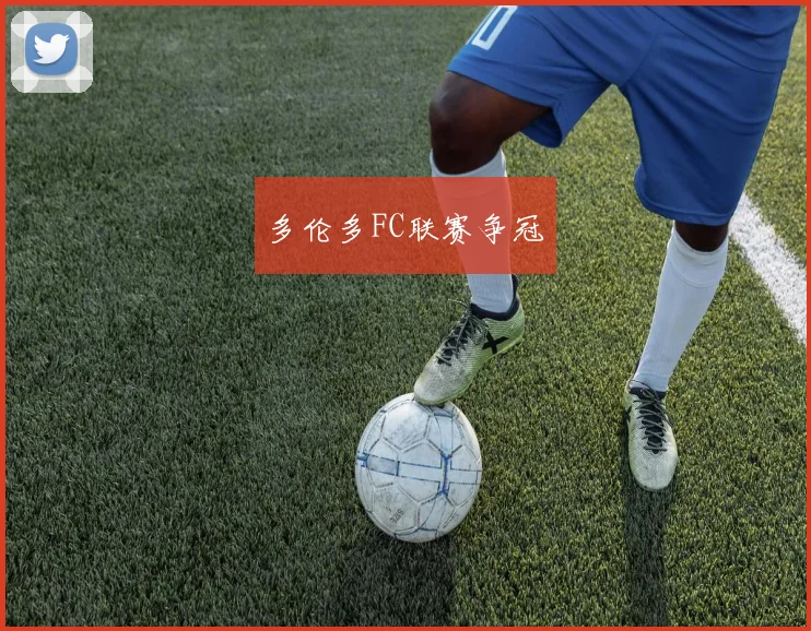 多伦多FC联赛争冠 - 开云体育app登录入口