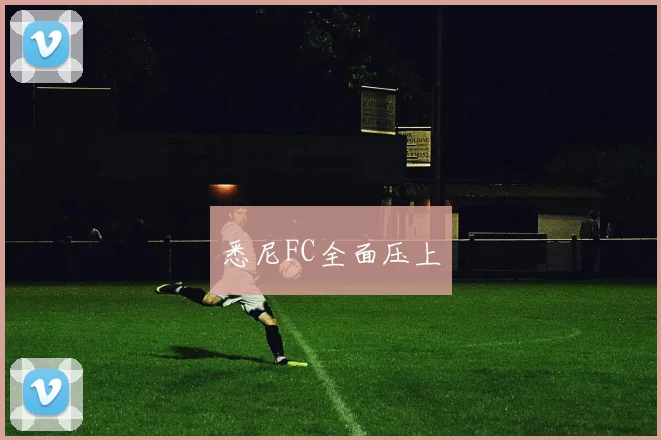 悉尼FC全面压上 - 开云体育app登录入口