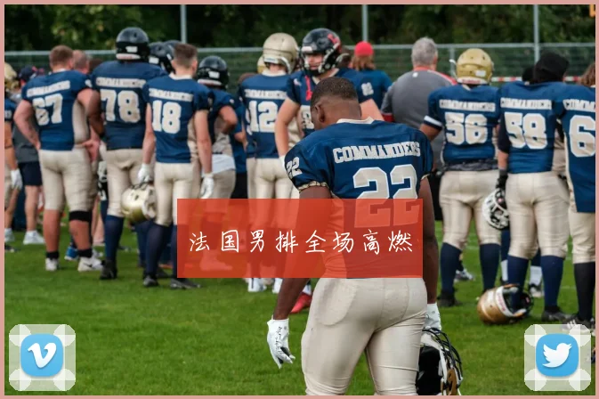 法国男排全场高燃 - 开云体育app登录入口