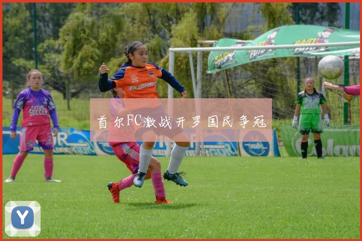 首尔FC激战开罗国民争冠 - 开云体育app登录入口