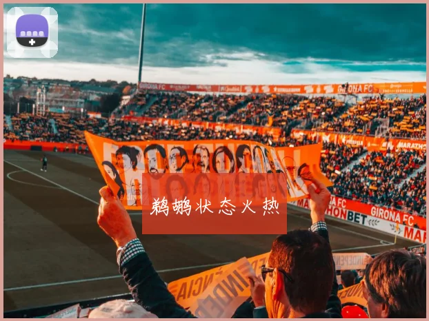 鹈鹕状态火热