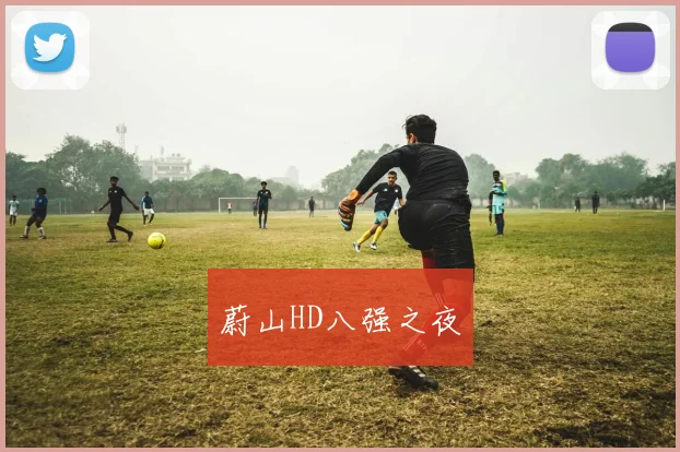 蔚山HD八强之夜 - 开云体育app登录入口