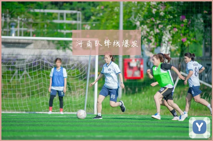 河南队锋线爆发 - 开云体育app登录入口