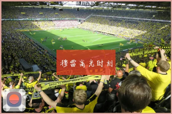 穆雷高光时刻 - 开云体育app登录入口