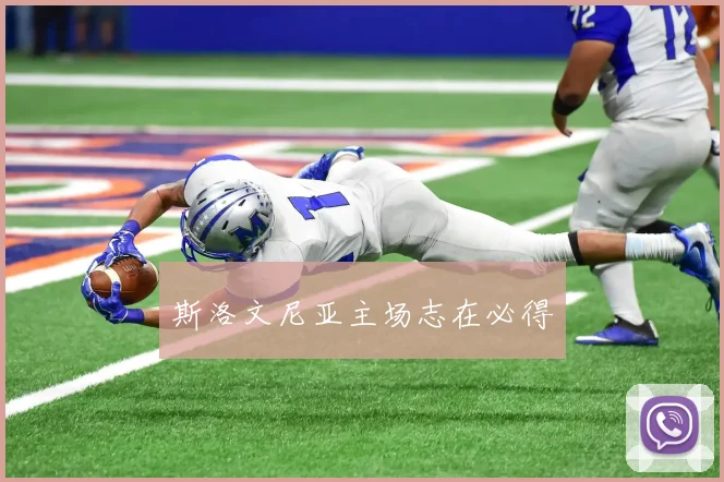 斯洛文尼亚主场志在必得 - 开云体育app登录入口
