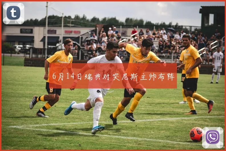 6月14日瑞典对突尼斯主帅布阵