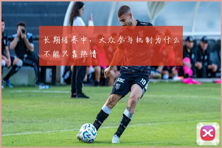 长期培养中，大众参与机制为什么不能只靠热情