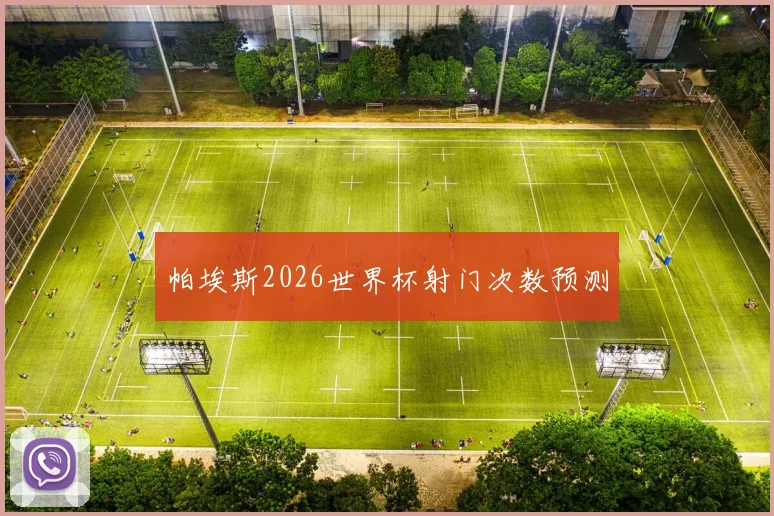 帕埃斯2026世界杯射门次数预测