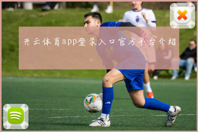 开云体育app登录入口官方平台介绍
